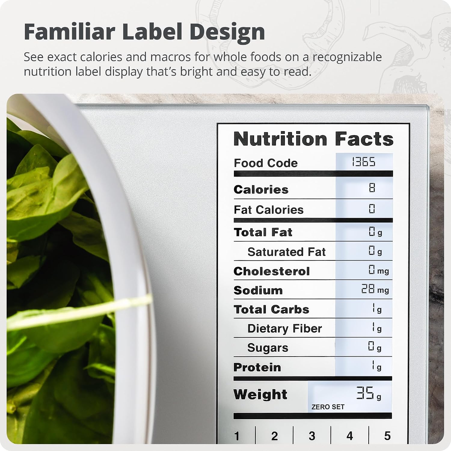 Balance de cuisine en acier in - Meal Prep Weight Loss avis et prix